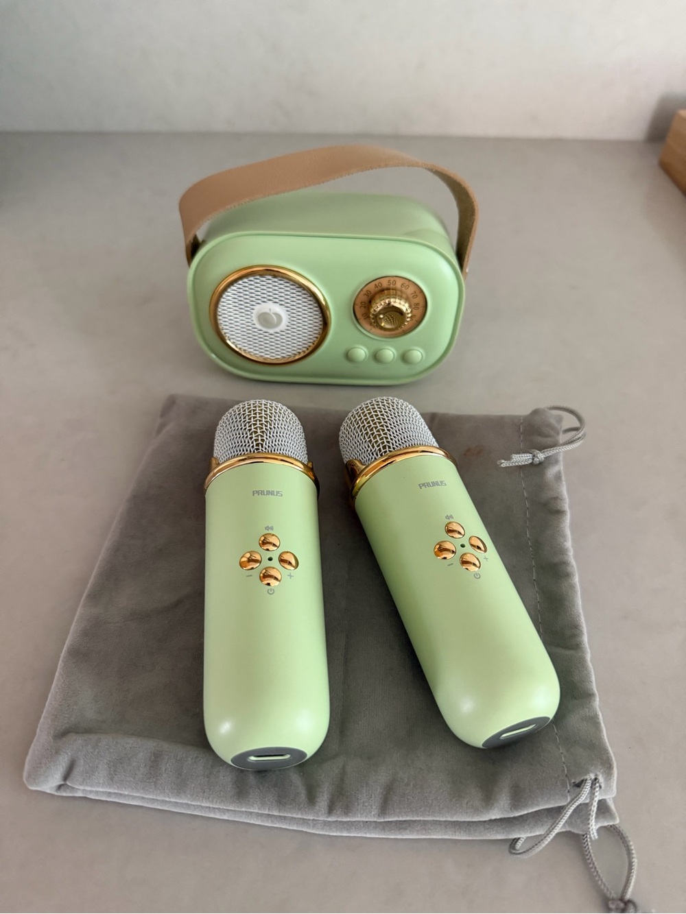 Portable Karaoke Microphone Duo with Speaker - Mint